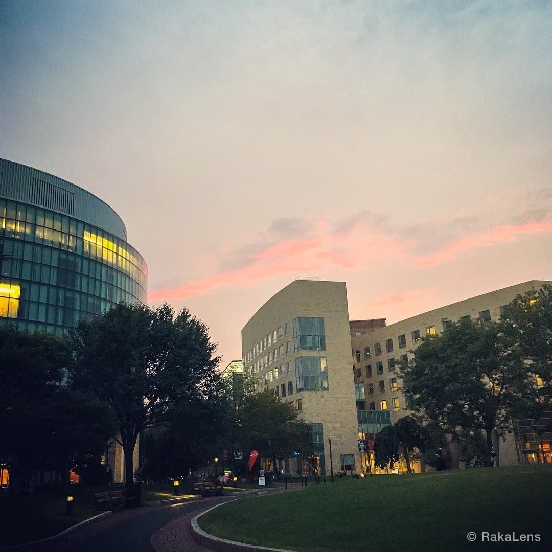 Northeastern in the light of the sun
