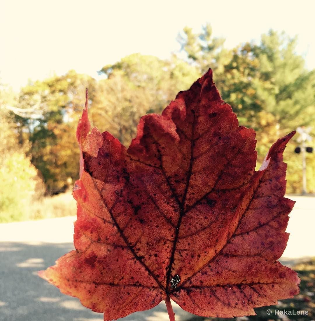 October 2016