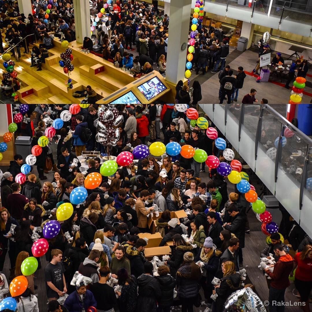 Husky 101 Orientation