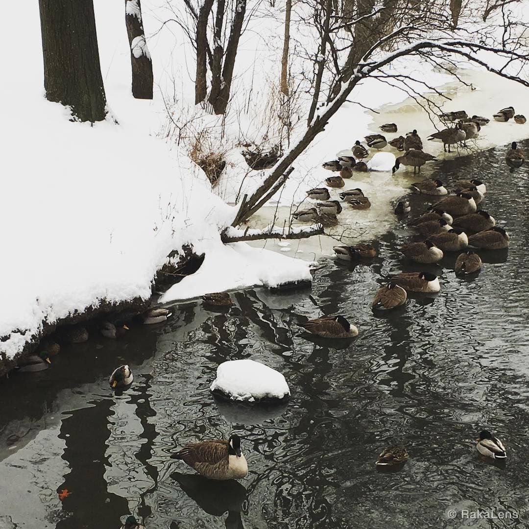 February 2017