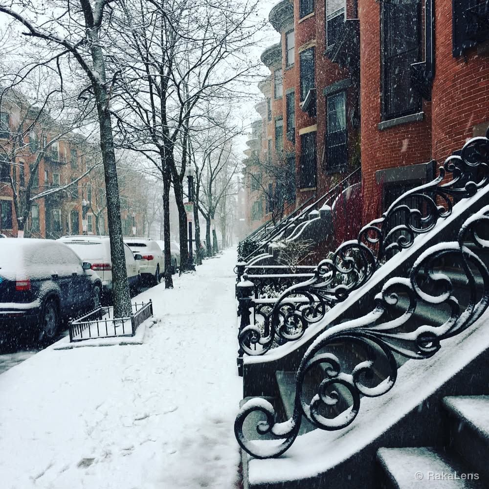 Snowflakes everywhere !!