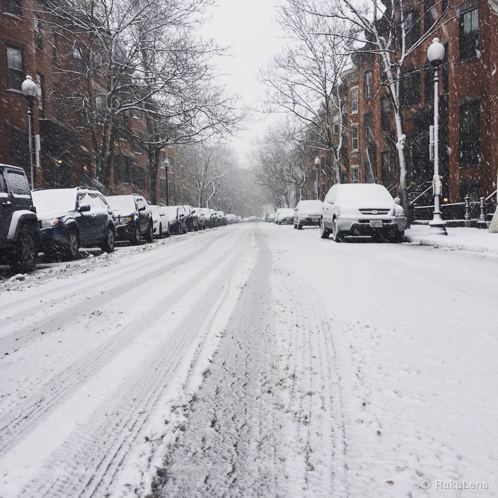 Snowflakes everywhere !!