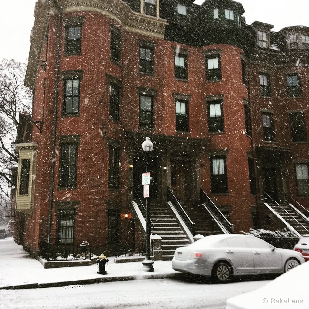 Snowflakes everywhere !!
