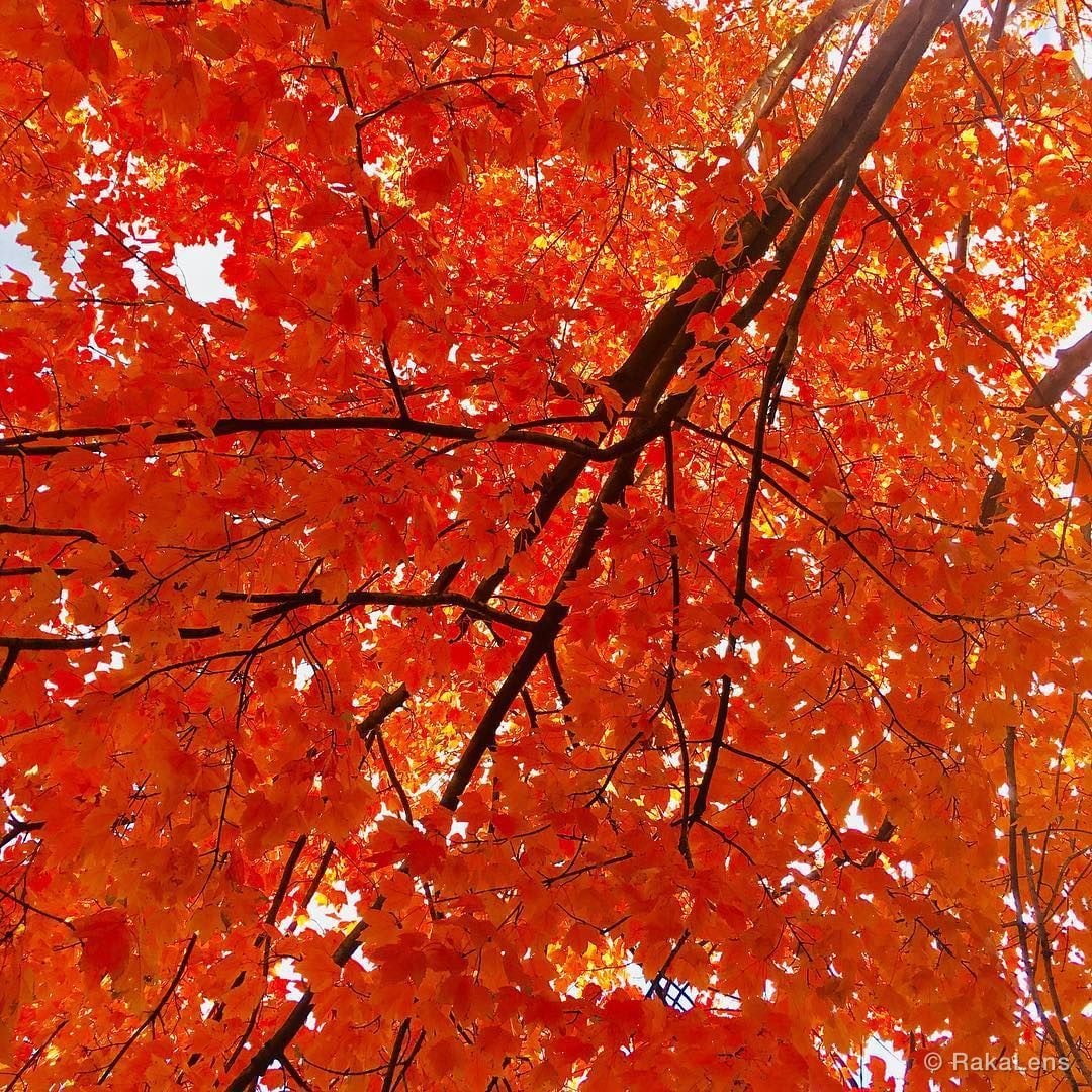 It’s almost winter! But still I need a blessings from you!