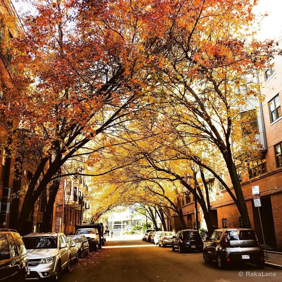 Still Fall!