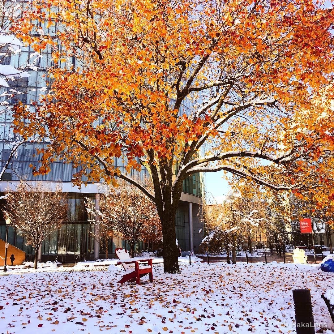 December 2017