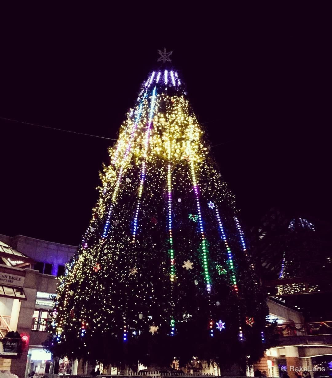 Happy Christmas 🎄 - [] ..