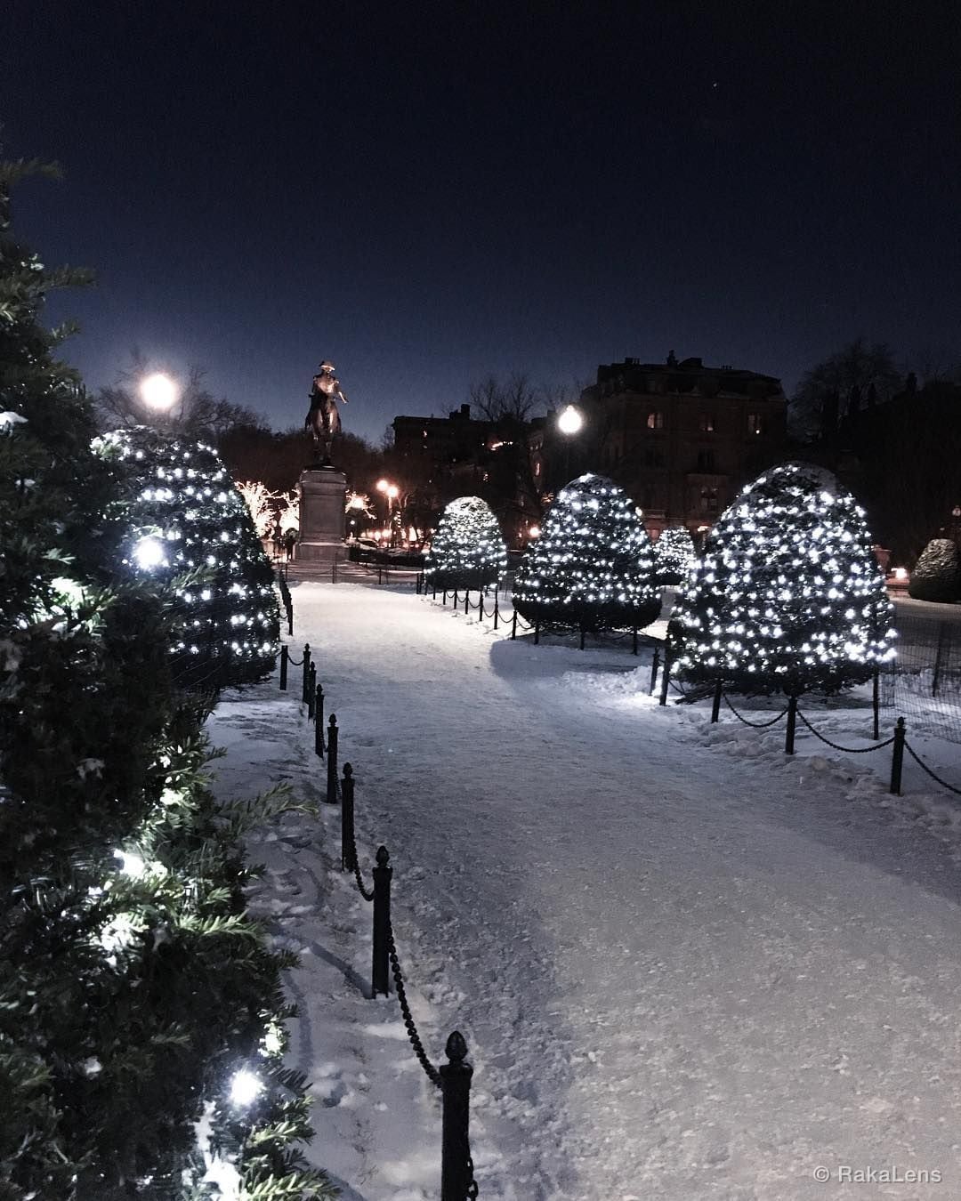 Snow Garden ❄️ ❄️ ⛄️ White Christmas 🎄 .