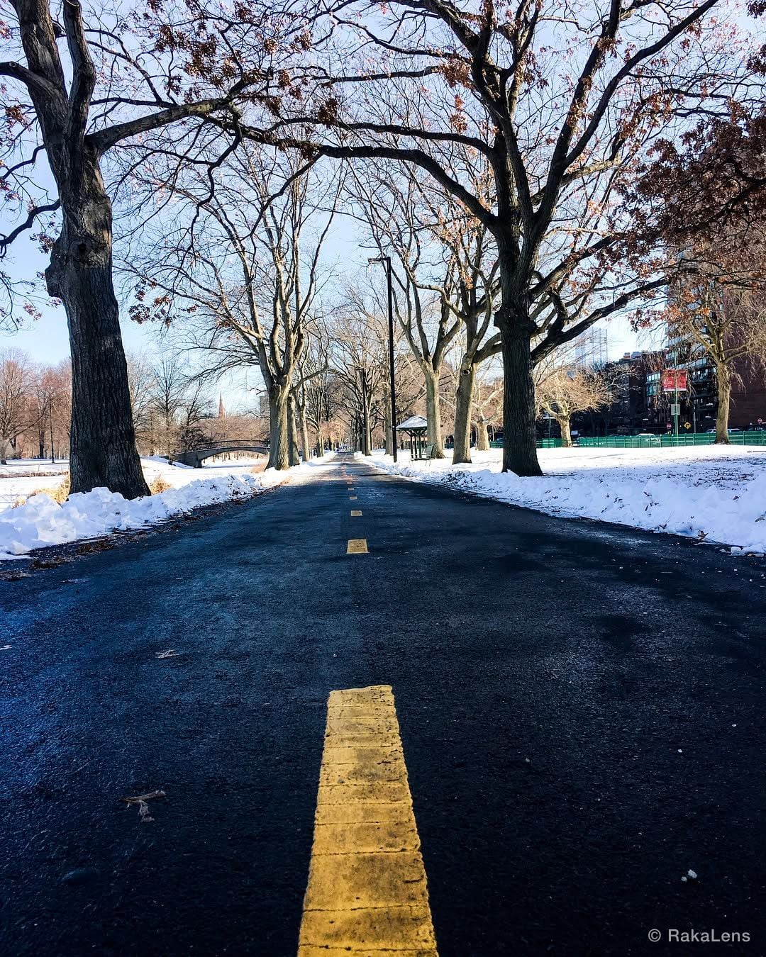 Cold Day ❄️ ❄️ 🌨💧. .