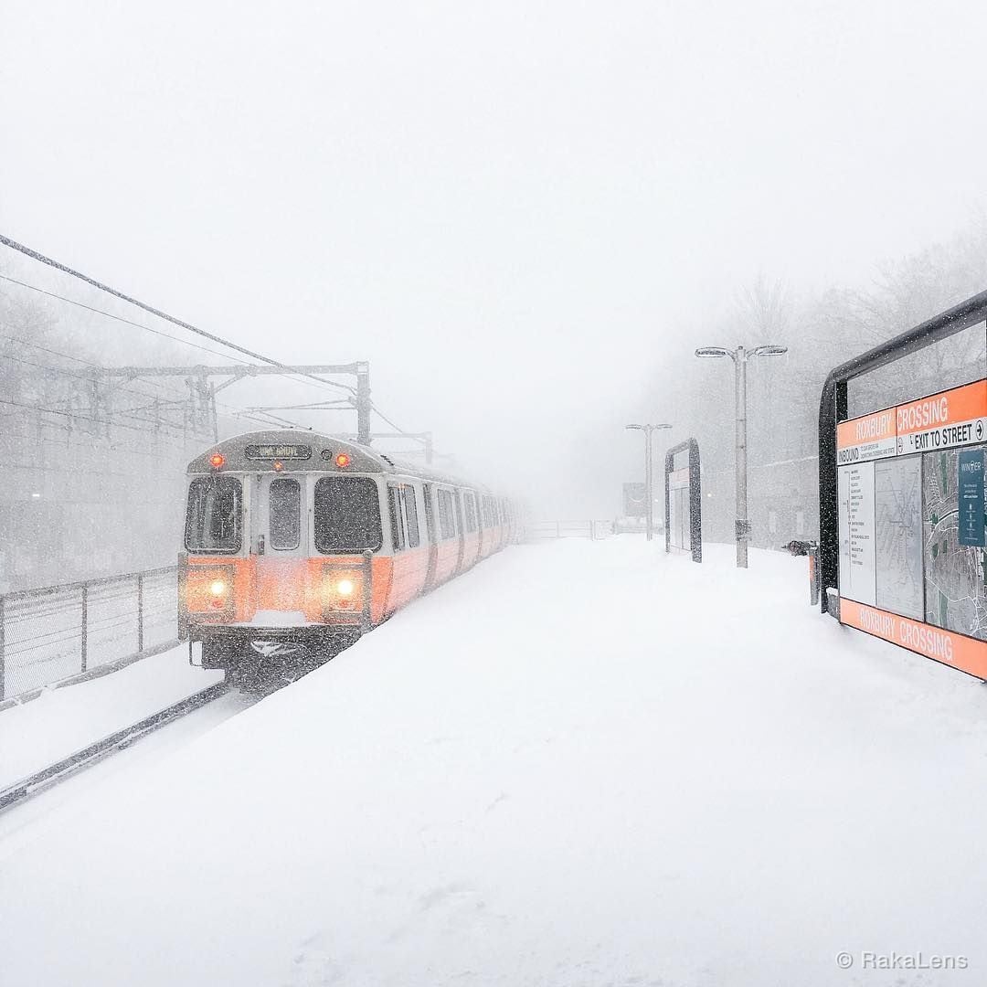 Bomb Cyclone!! Snow storm 🌨 ❄️ .