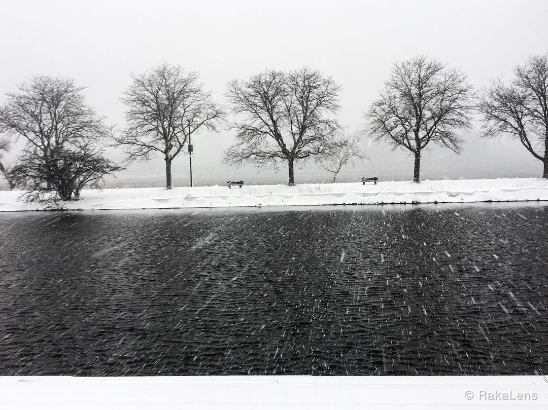 Snow falls nature listens @ buzzfeed.
