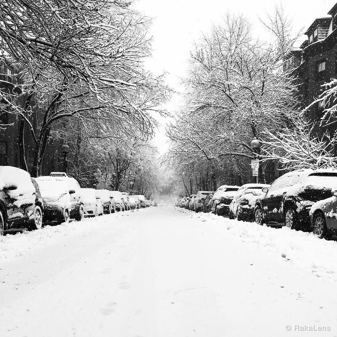 Snow ❄️ Storm !! ⛄️ .