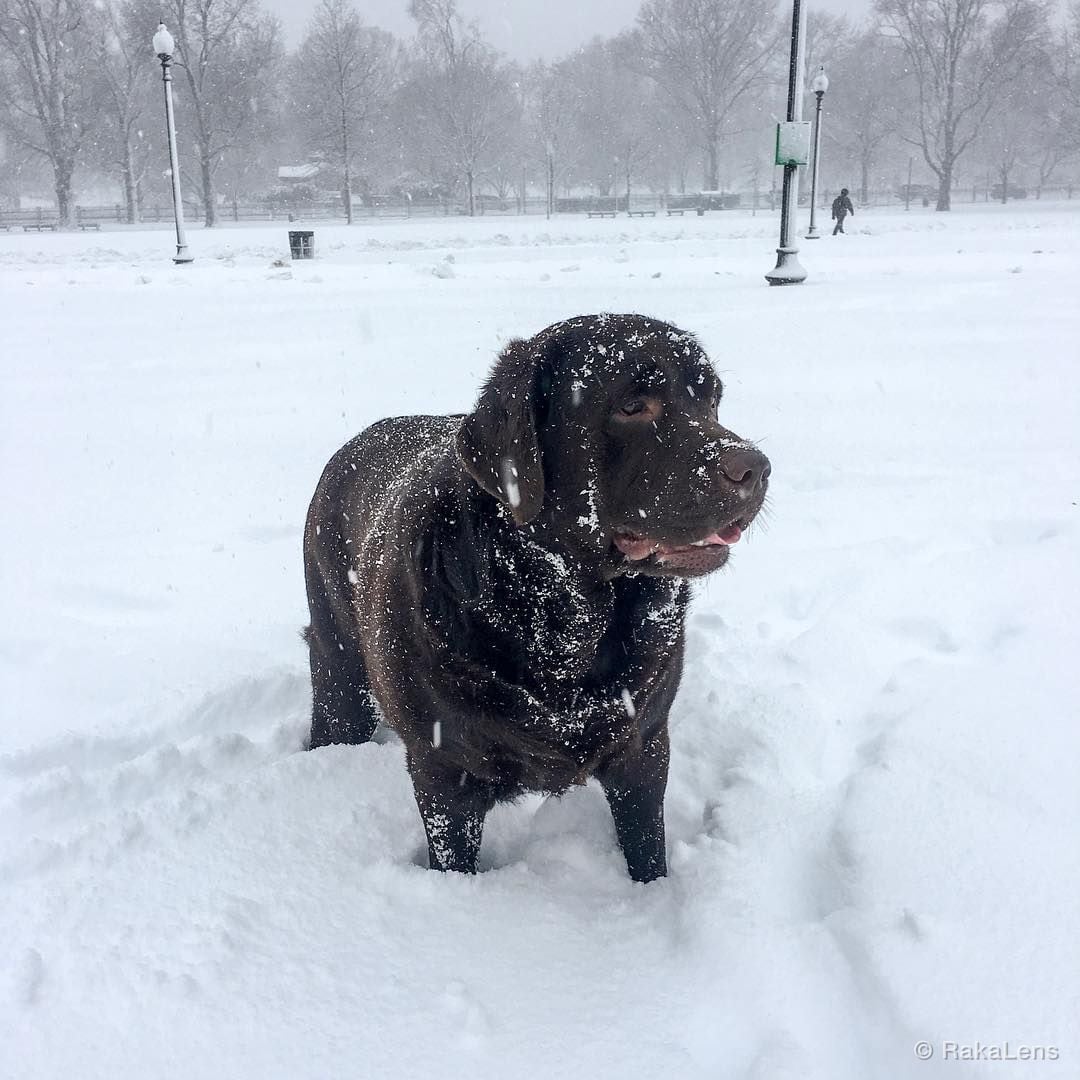 Good boy!!