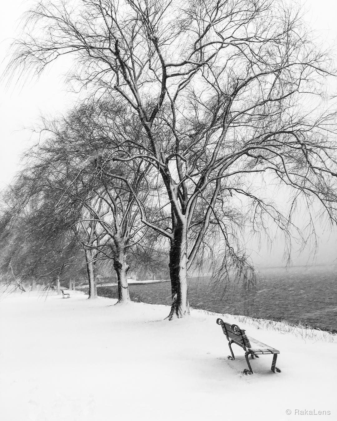 Throwback Blizzard ❄️ ❄️❄️