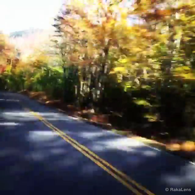 Throwback!! Fall colors 🍁🍂🍃!!