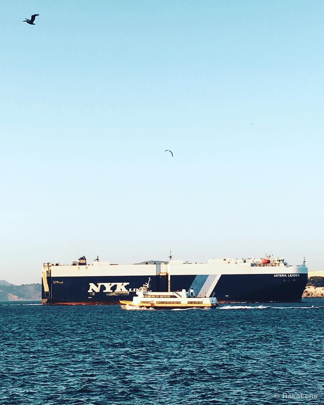 Sea Masters 🚢 !! ..