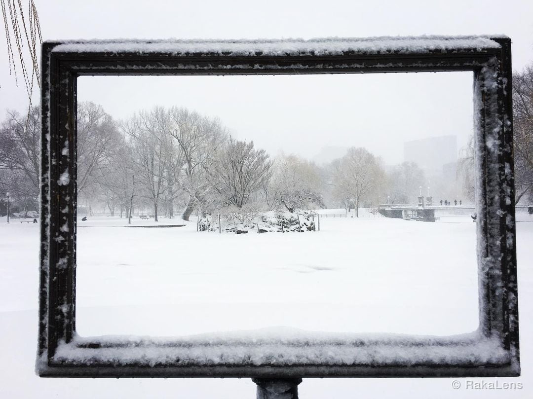 Throwback!! @ Boston common