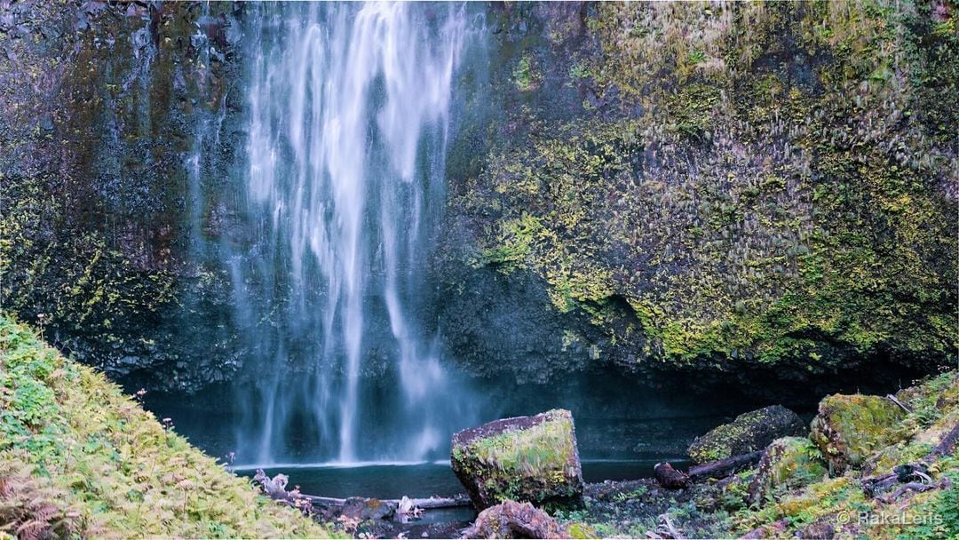 Multnomah!!!