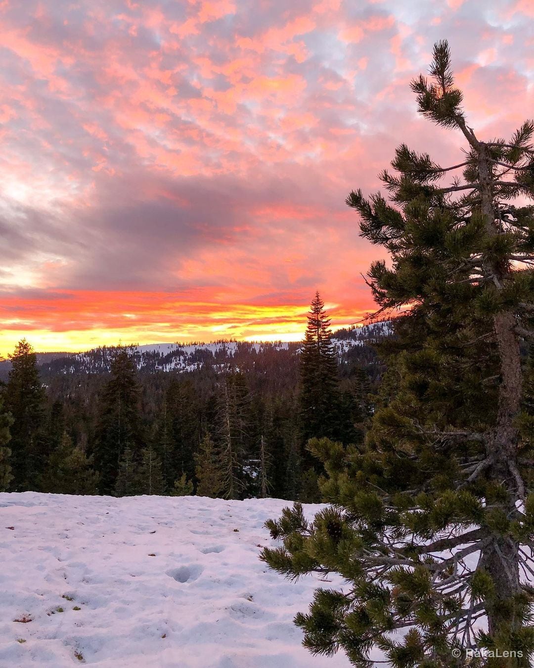 Snow and Sunset !! .. ..
