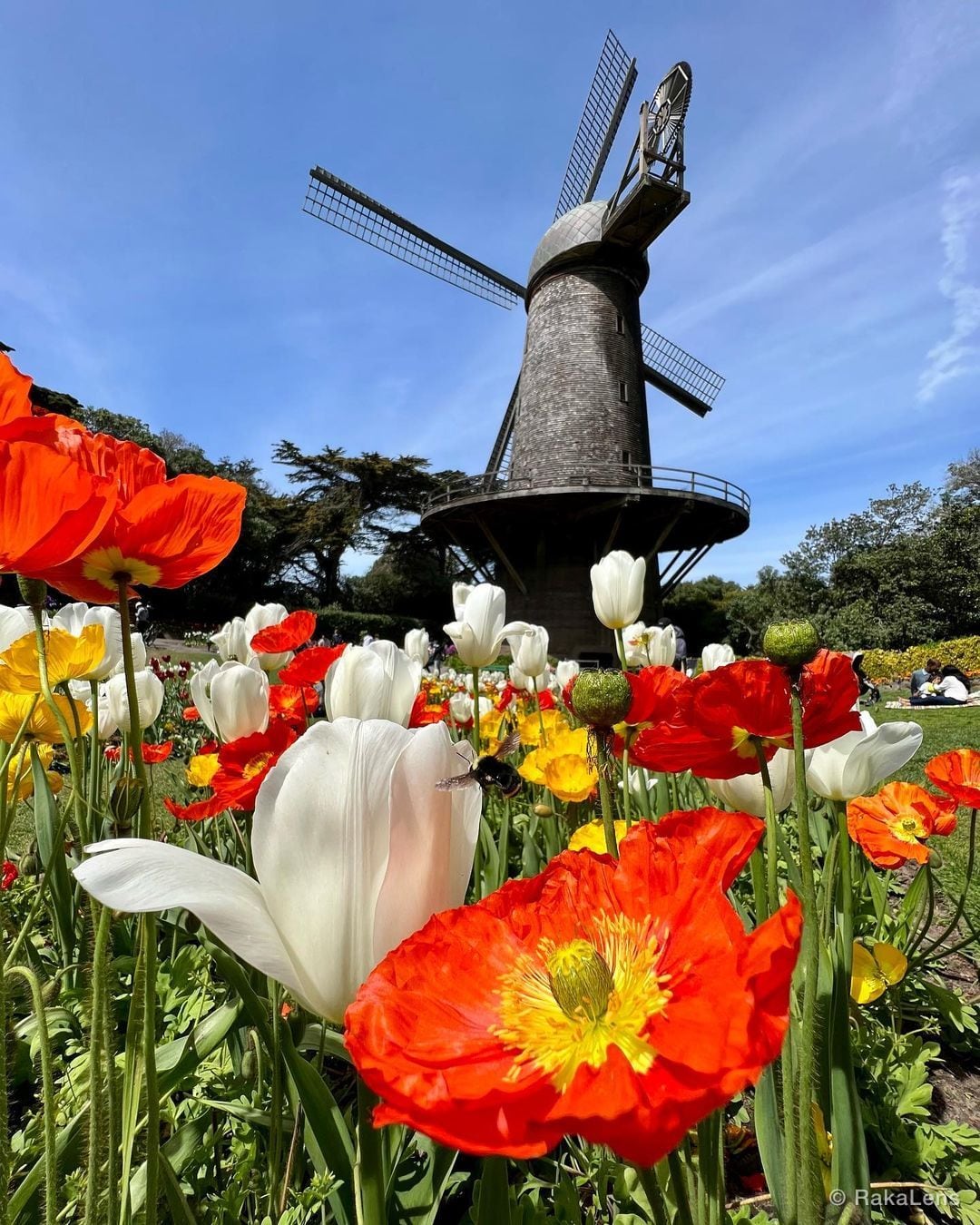 “Life isn’t a tiptoe through the tulips.” – Shannon Hoon.
