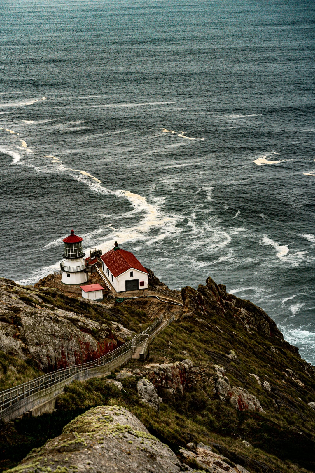 Point Reyes National Seashore, 26 Dec 2022