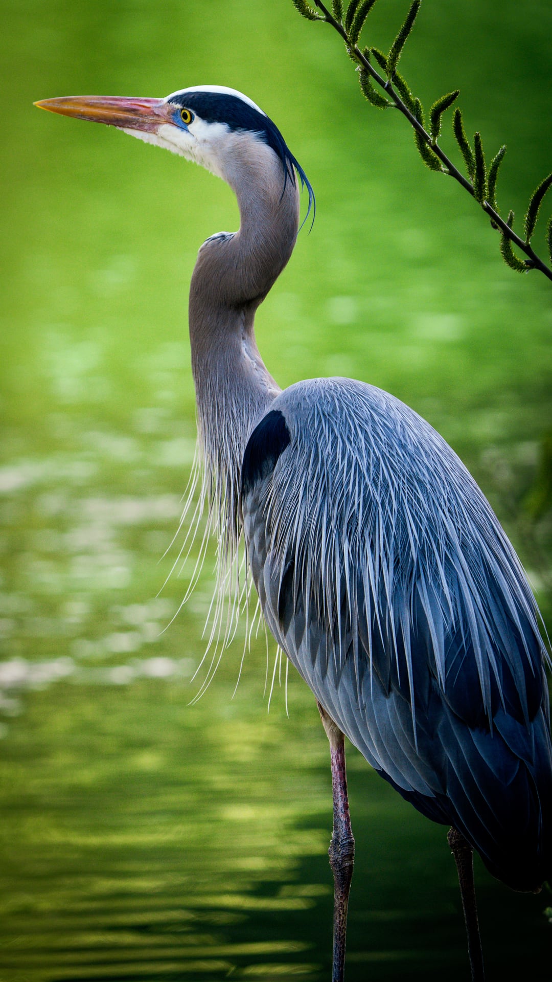 Golden Gate Park, 10 Mar 2023