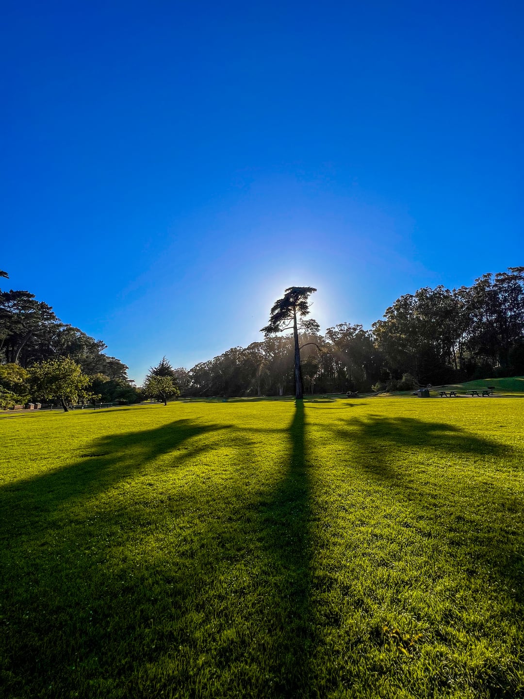 Golden Gate Park, 19 Jun 2023