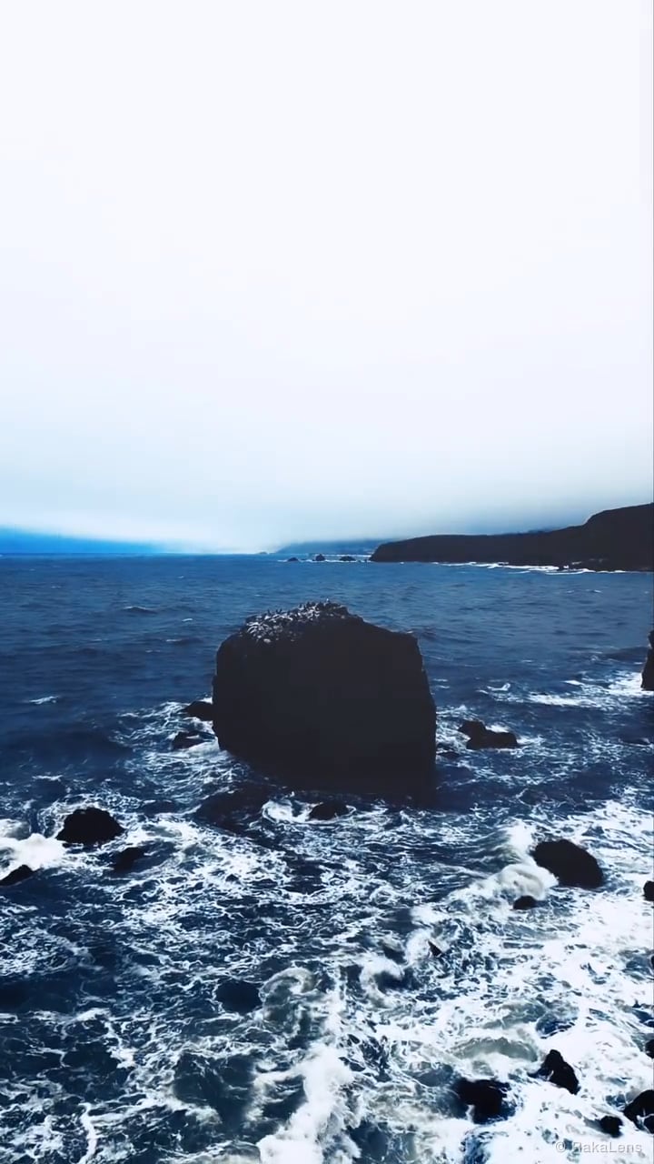 Gull rock vibes!!