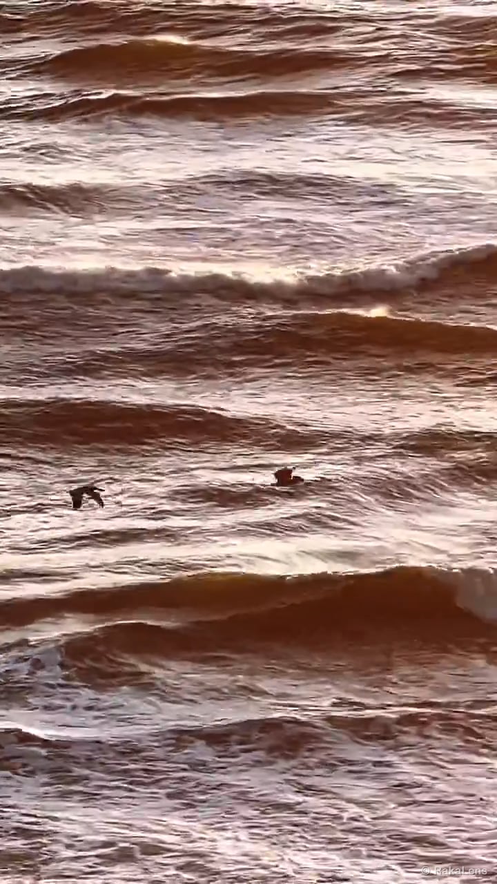 Golden hour !