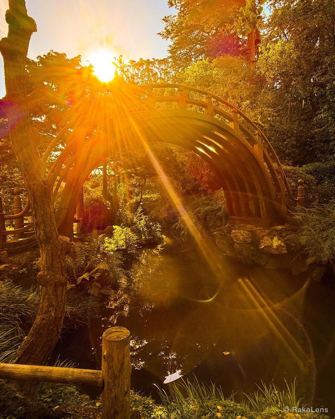 The quieter you become, the more you can hear.