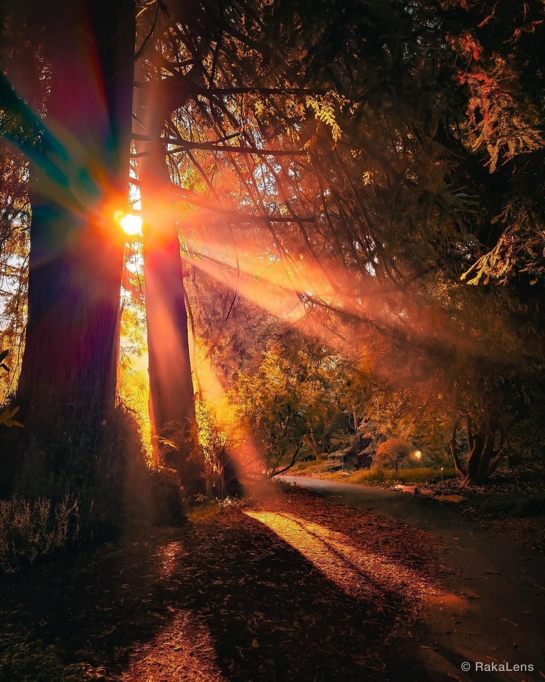 The quieter you become, the more you can hear.